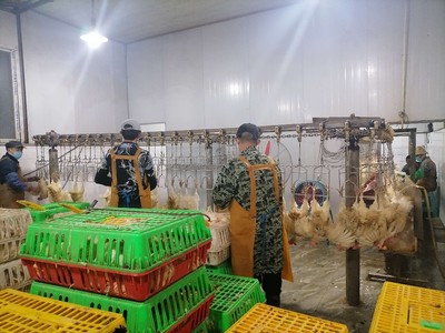万州家禽产品市场 集中屠宰冷链配送助力生鲜家禽获广泛认可