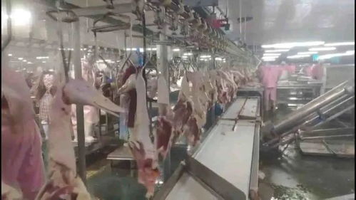 本市企业有序复工，多措并举构筑严密防疫阵线